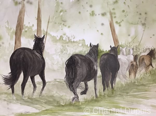 Point de fuite by Chantal  Image: horses running in forest