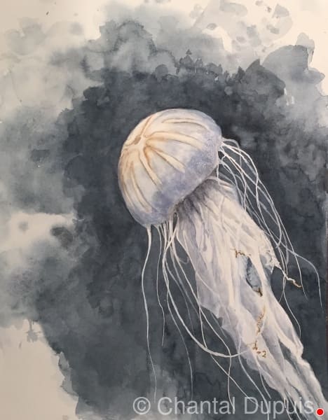 Jelly by Chantal, Image 1.