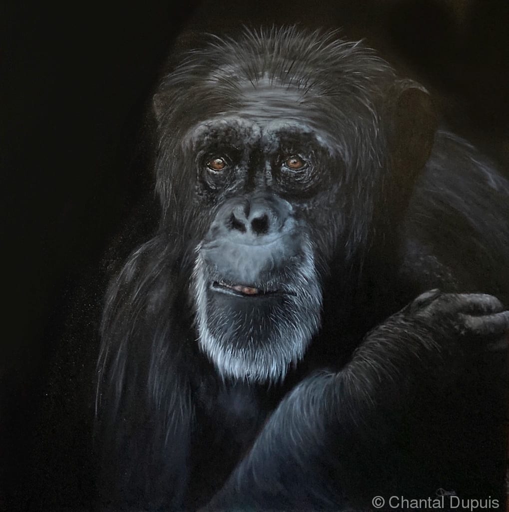 Wyse Elder by Chantal  Image: ape