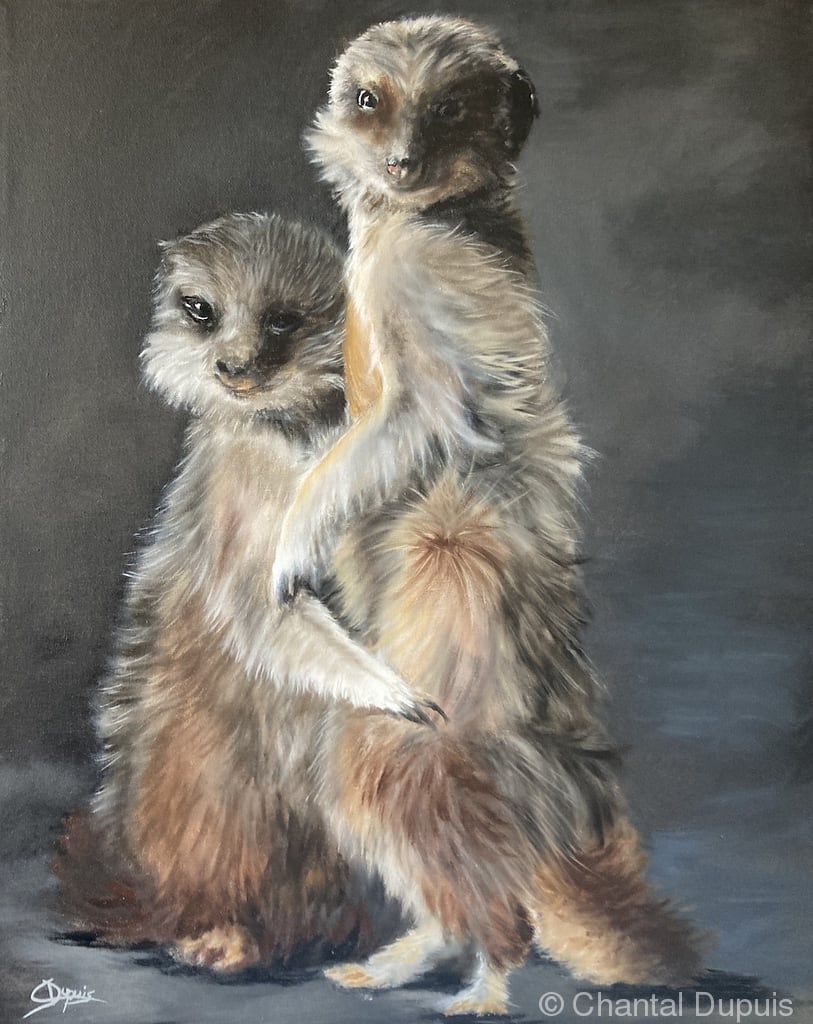 Lean on Me by Chantal  Image: 2 meerkats cuddling