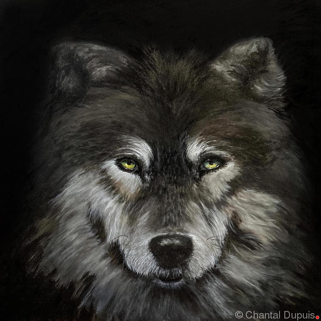 Guardian by Chantal  Image: grey wolf