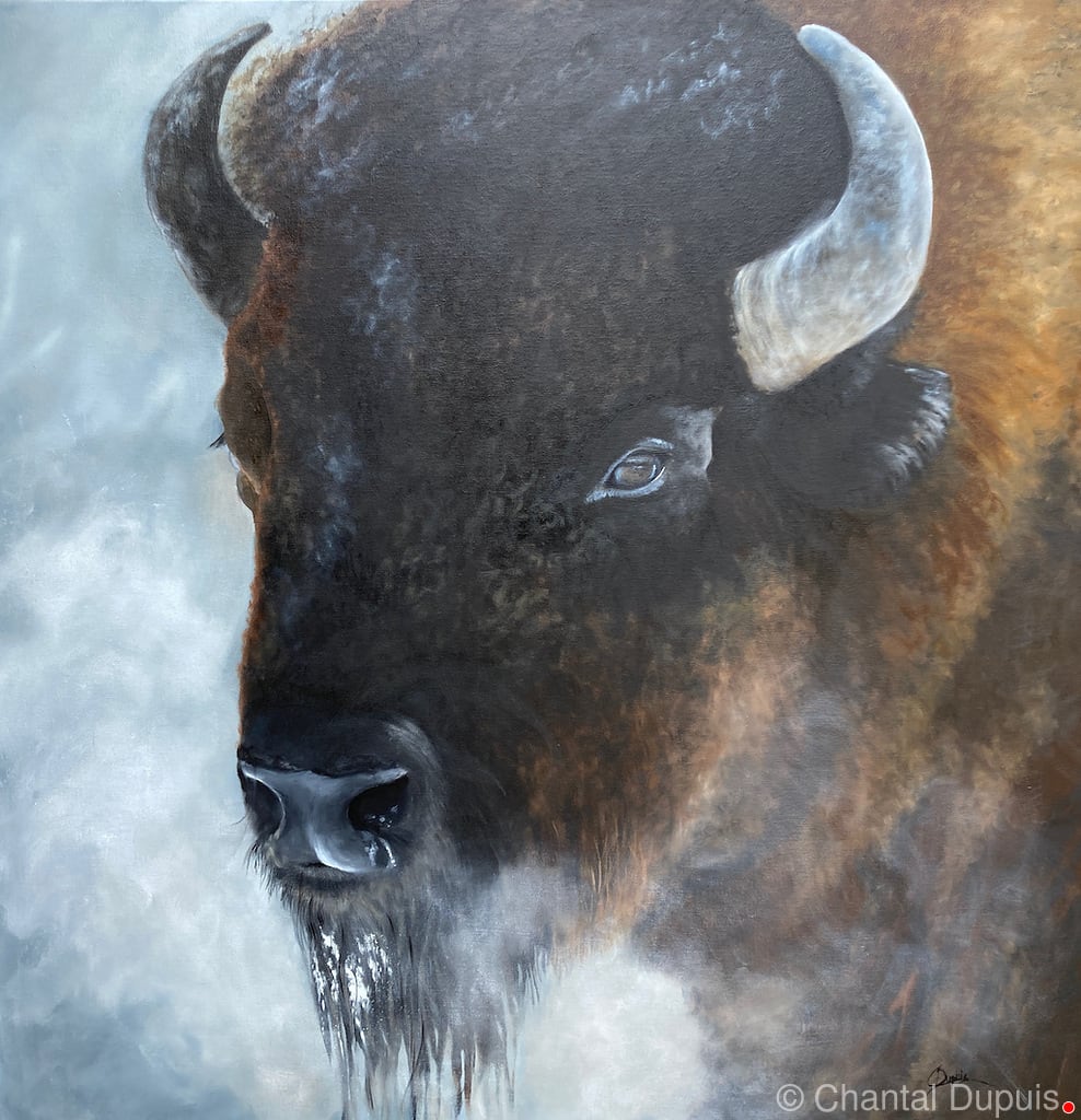 Prairie Mist by Chantal  Image: bison in winter