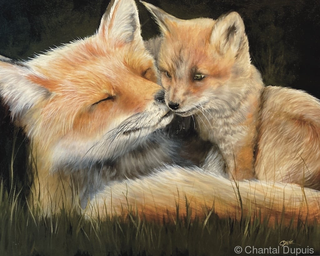 Haven by Chantal  Image: mother fox and her kit