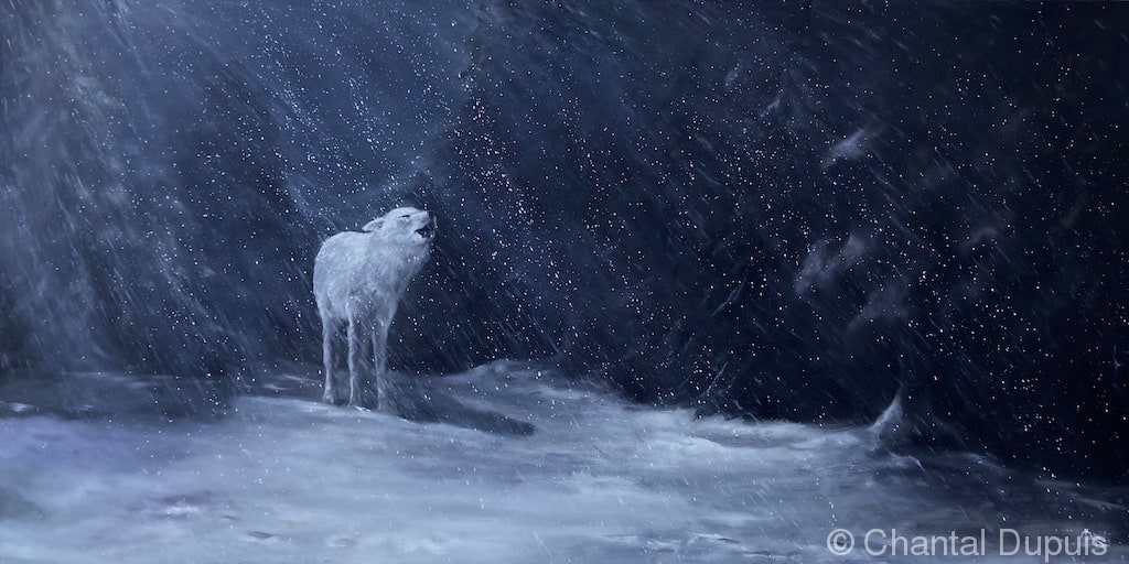 Snow Song by Chantal  Image: arctic wolf howling on a snowy night in a clearing
