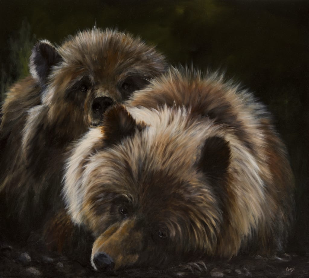 Sisters by Chantal  Image: 2 grisly bears sleeping