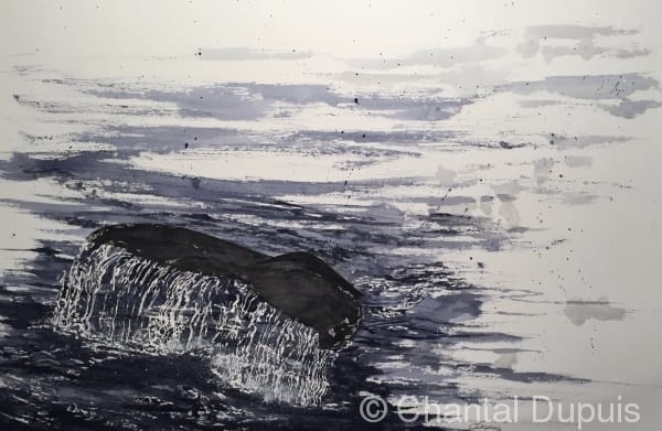 Tales by Chantal  Image: fluke of a whale