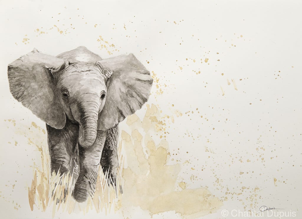 Kibo by Chantal  Image: baby elephant