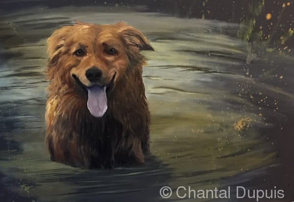 Atlas by Chantal  Image: dog in water