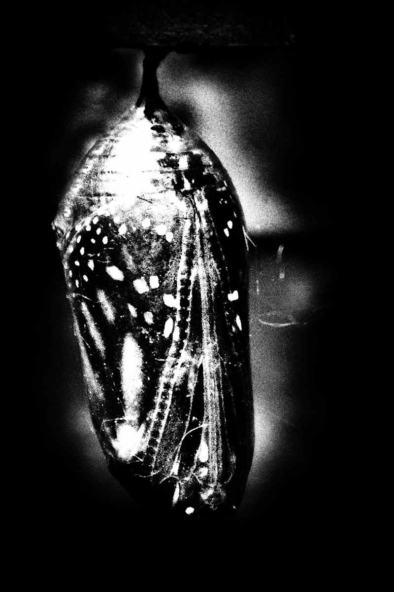 3rd Eye Open by Missy Burton, Image 1.