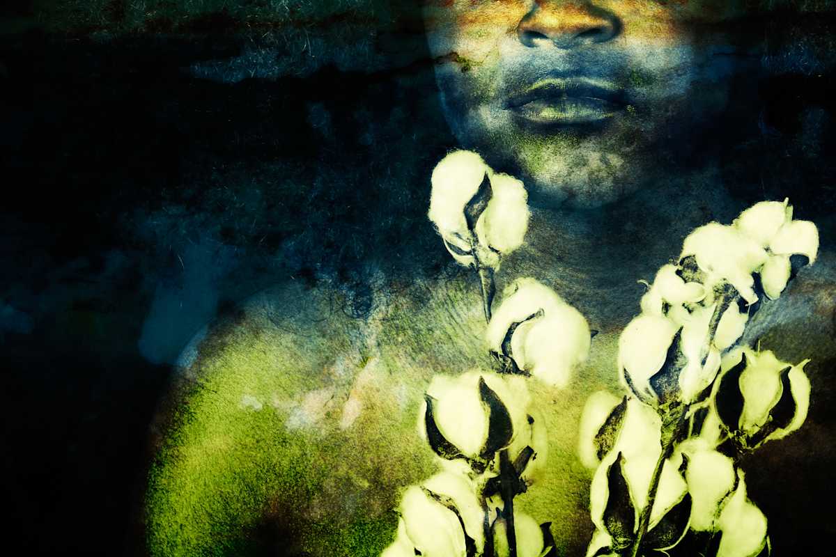 Dynasty: This Too Shall Pass by Missy Burton, Image 1.