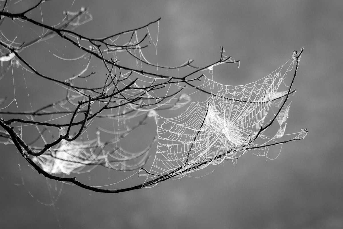 Boundaries by Missy Burton 