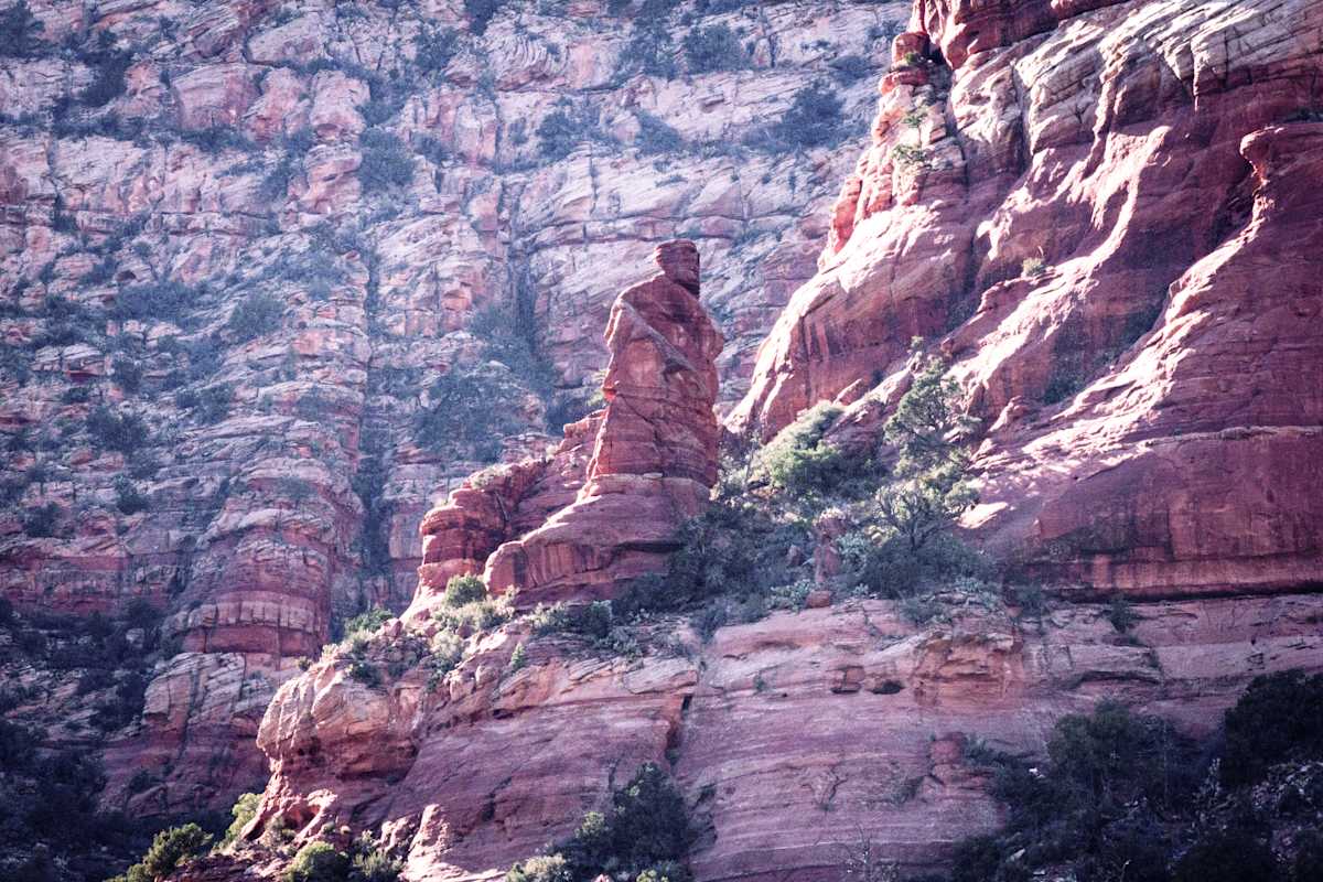 Red Rock Forest by Missy Burton 