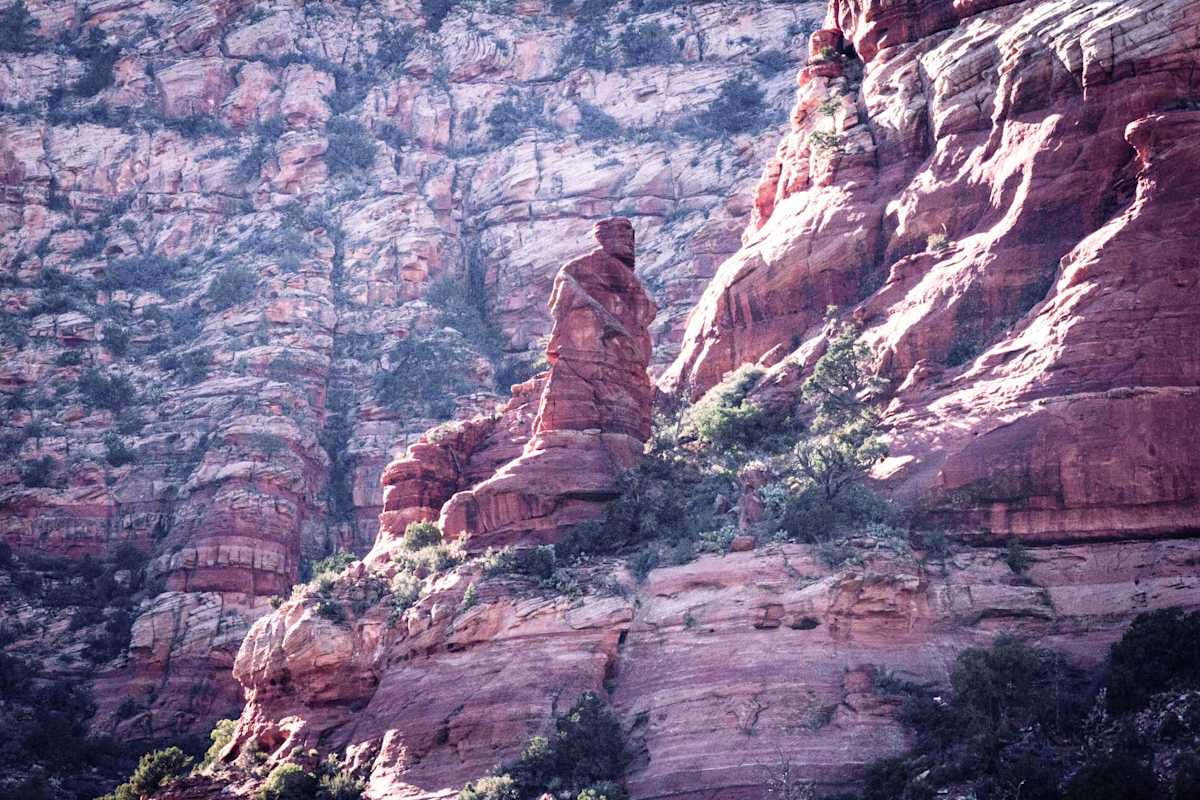 Red Rock Forest by Missy Burton, Image 3.
