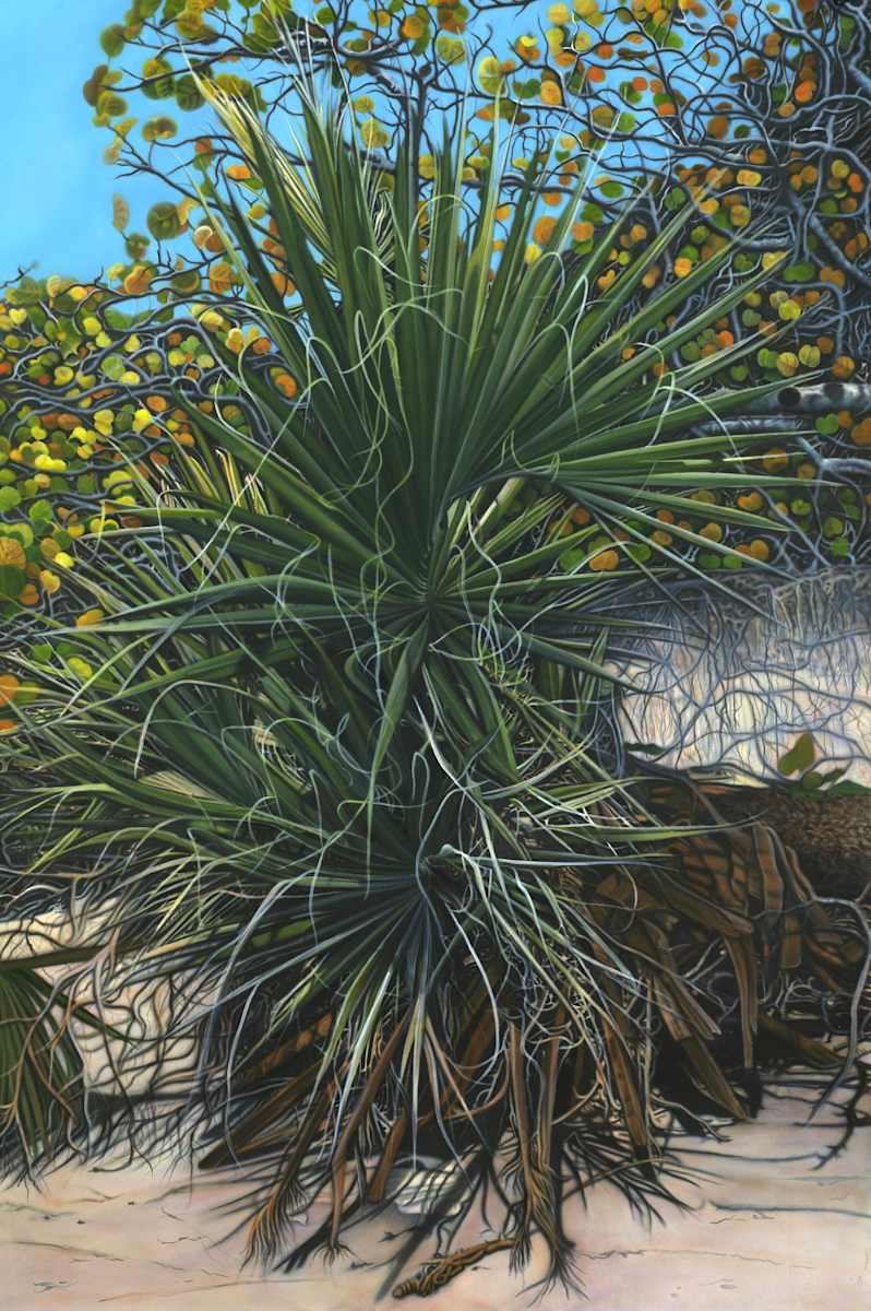 Fallen Palm by Christine Anagnostis, Image 1.