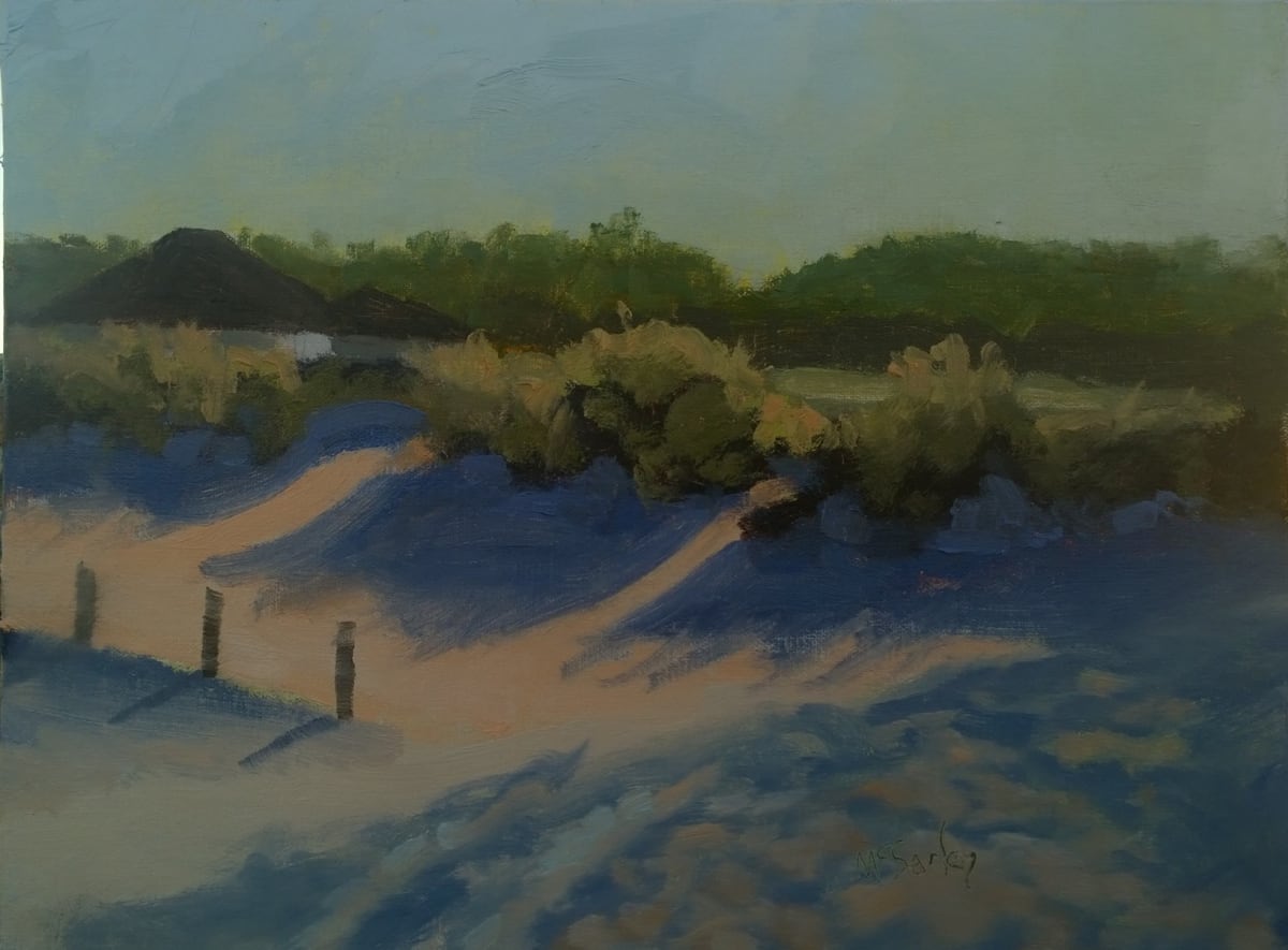 Assateague Dunes by Michael McSorley 