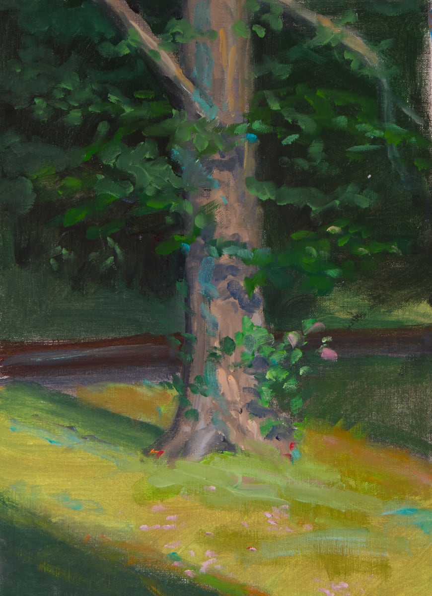 Tree at Abott's Mill by Michael McSorley 
