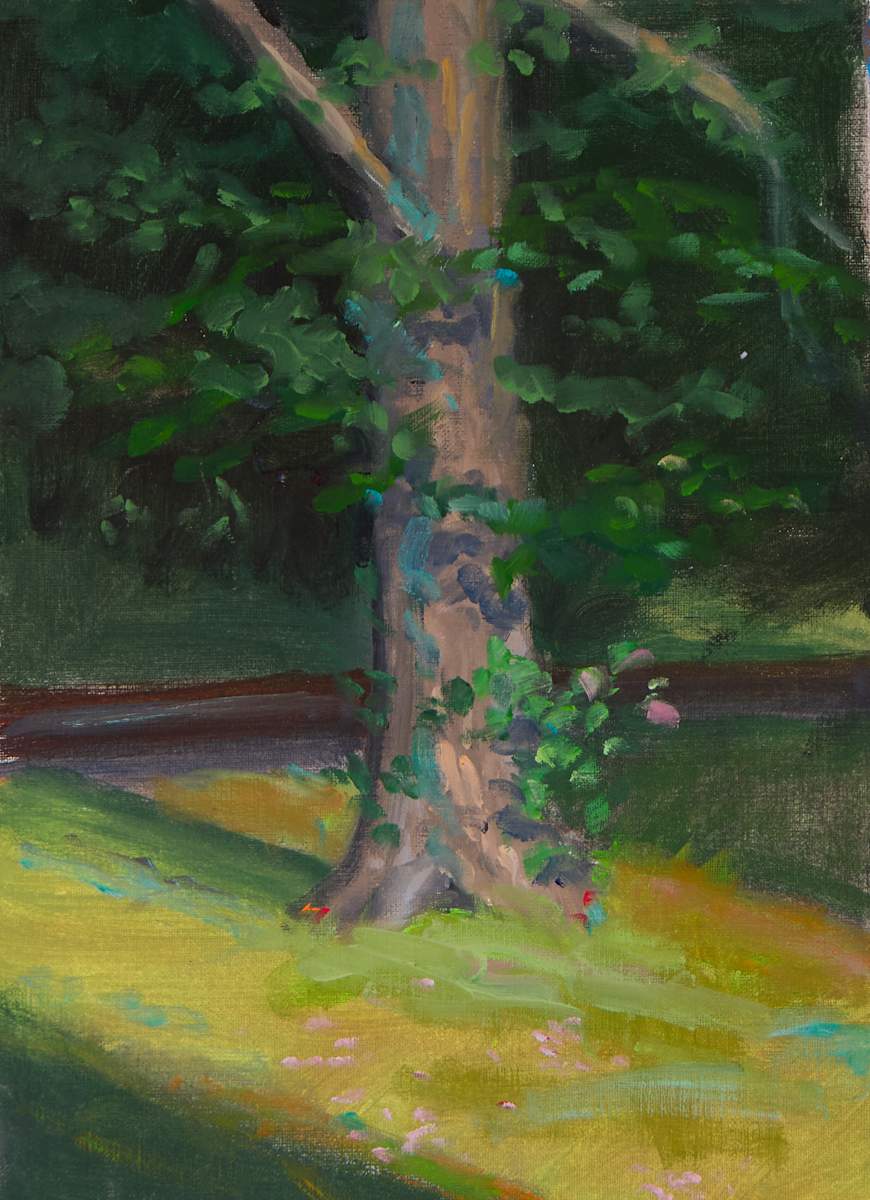 Tree at Abott's Mill by Michael McSorley, Image 7.
