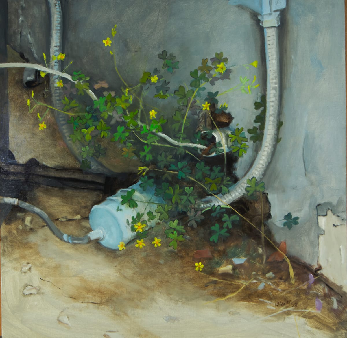 Yellow Woodsorrel by Michael McSorley, Image 2.