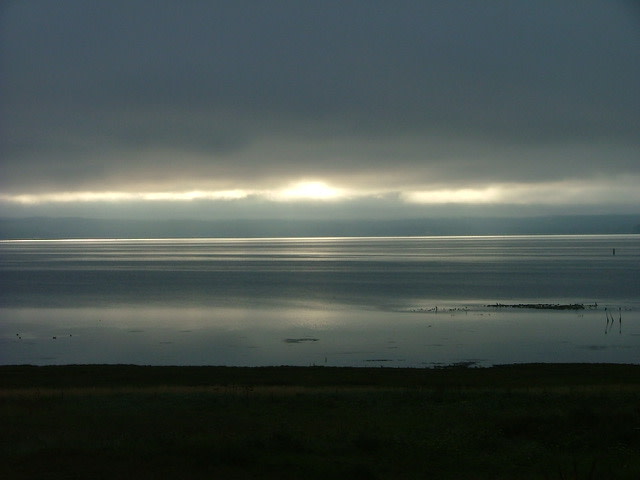 Willipa Bay by Nina Buckley 
