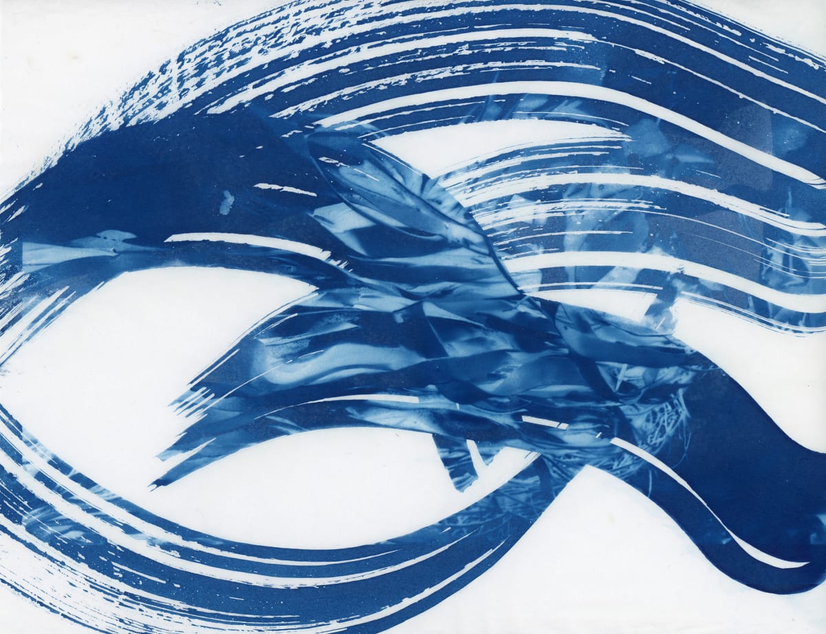 From the sea #8 by Karen Johanson 