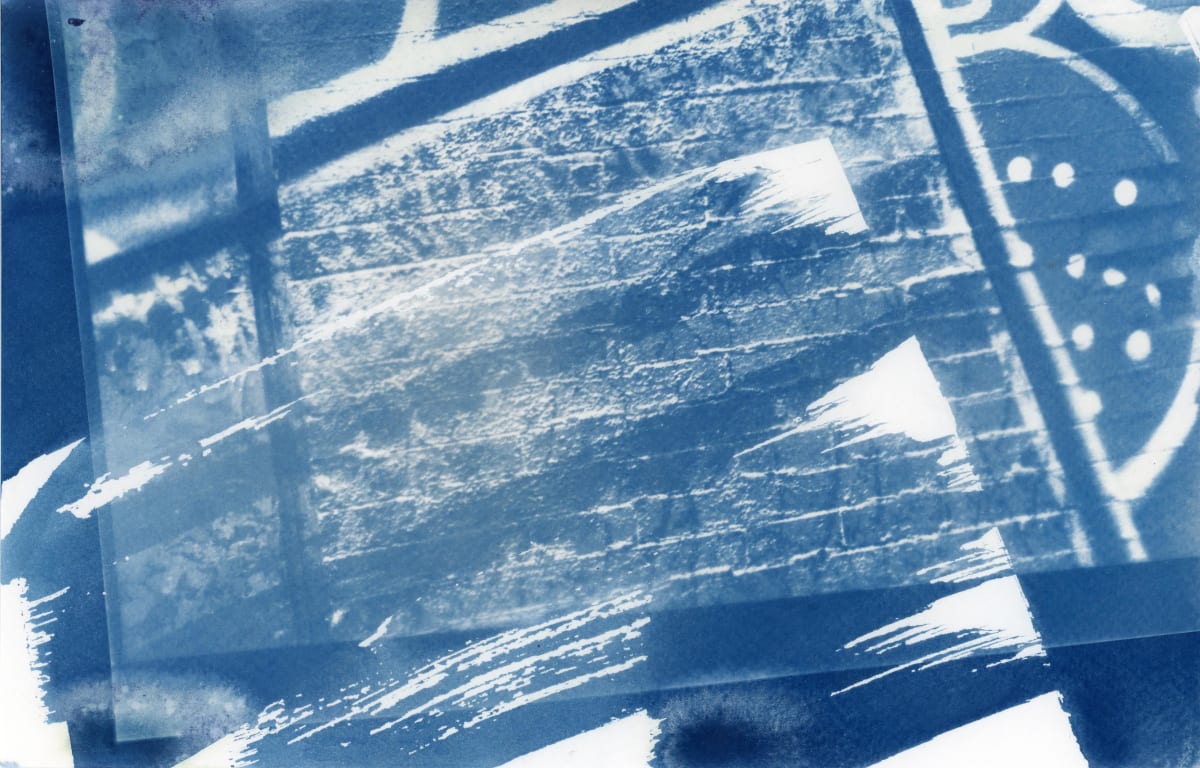 Cyanotype 20190820003 by Karen Johanson, Image 1.