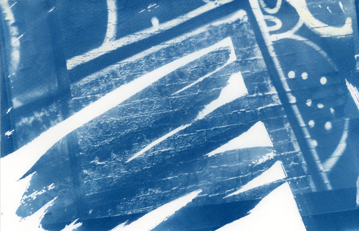 Cyanotype 20190820004 by Karen Johanson 