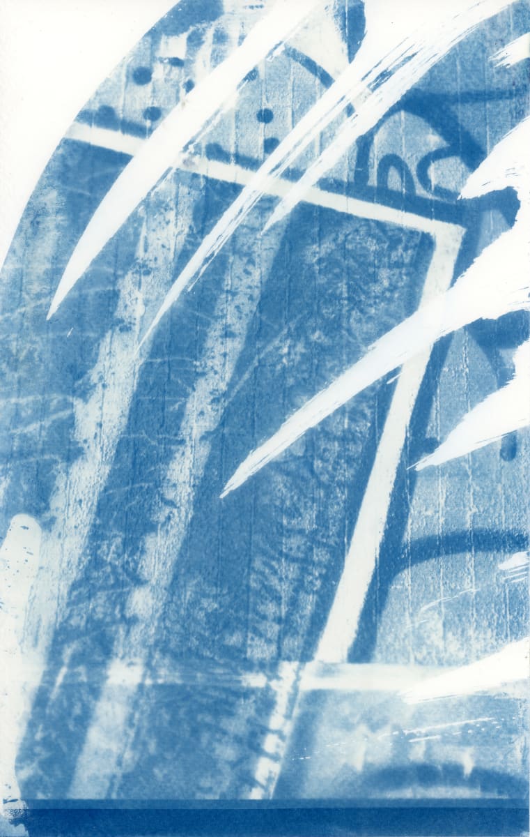 Cyanotype by Karen Johanson 