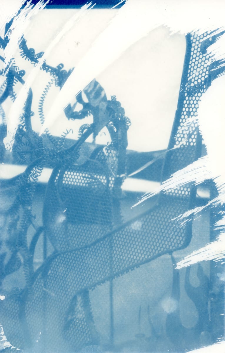 Cyanotype by Karen Johanson 