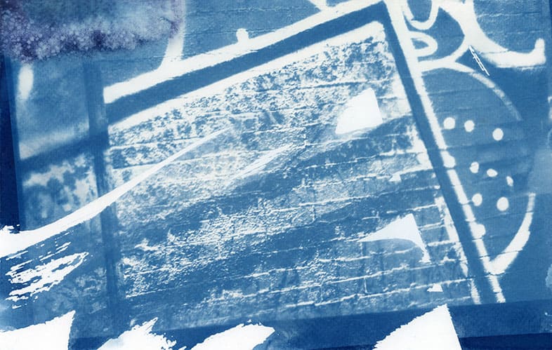Cyanotype by Karen Johanson 