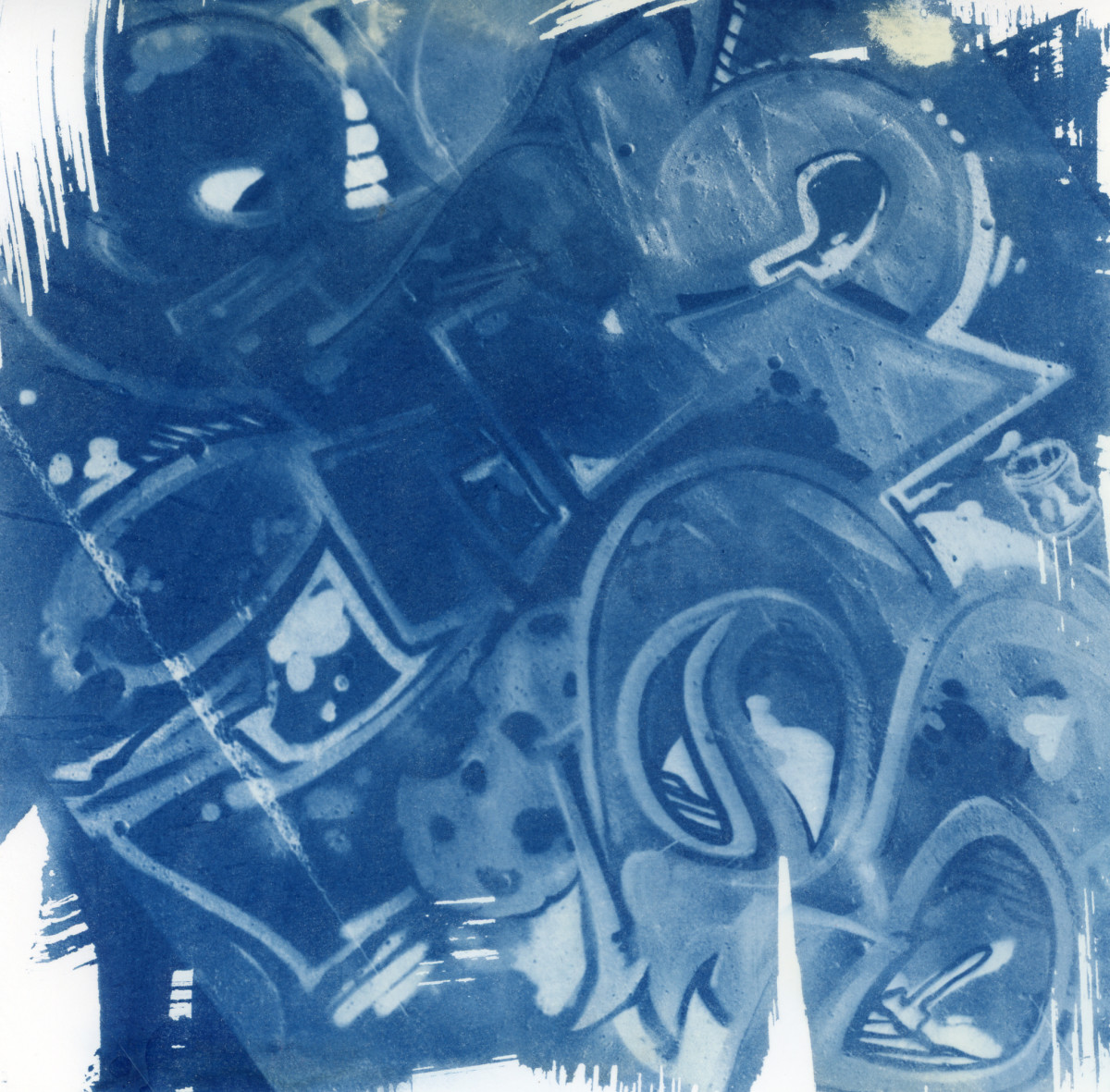 Cyanotype 20191105001 by Karen Johanson 