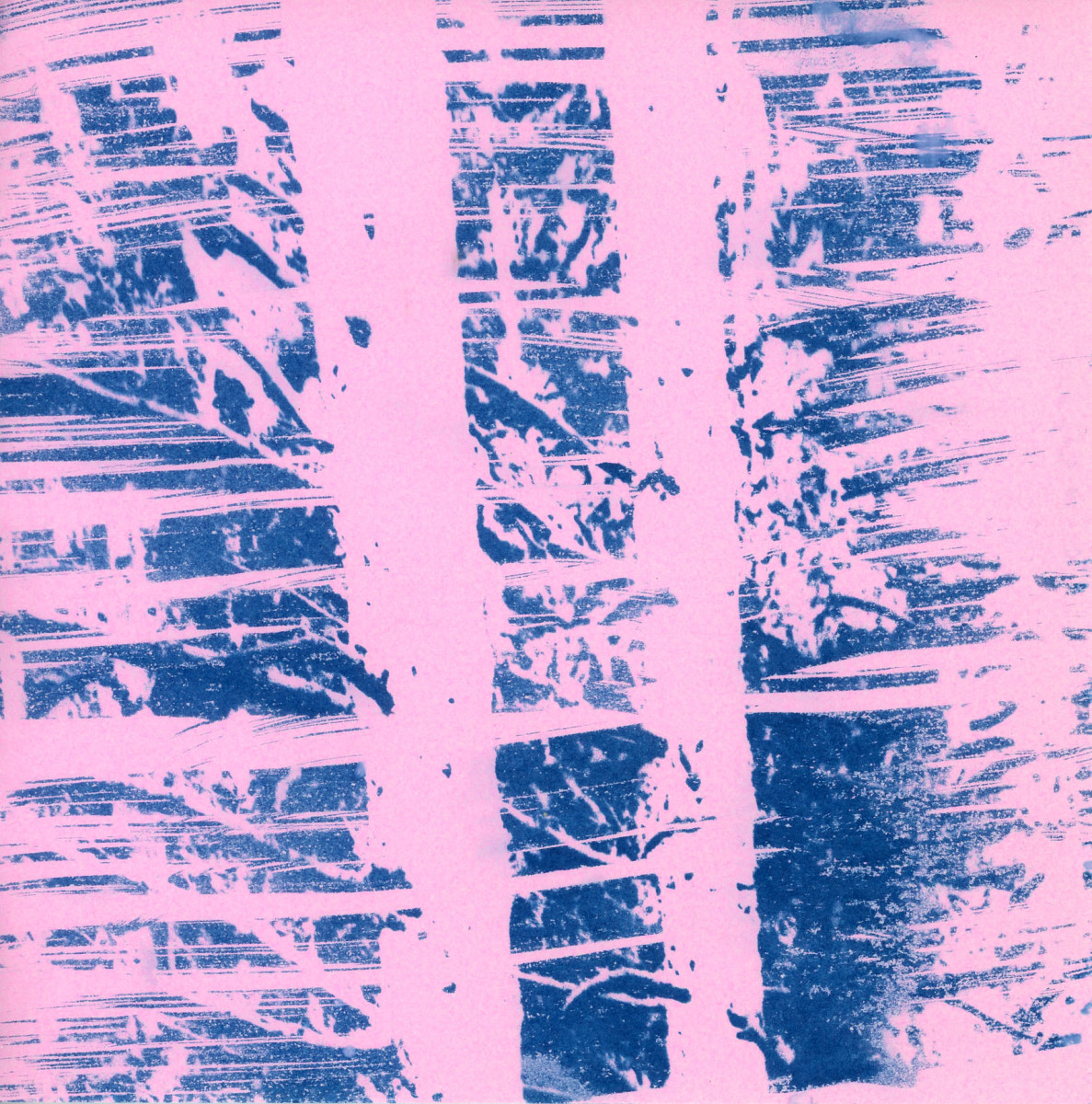 Rose-tinted winter by Karen Johanson 