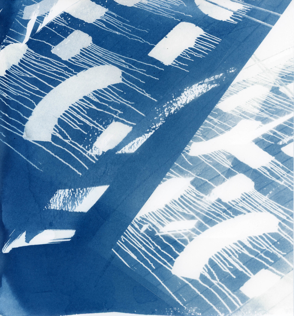 Cyanotype by Karen Johanson 