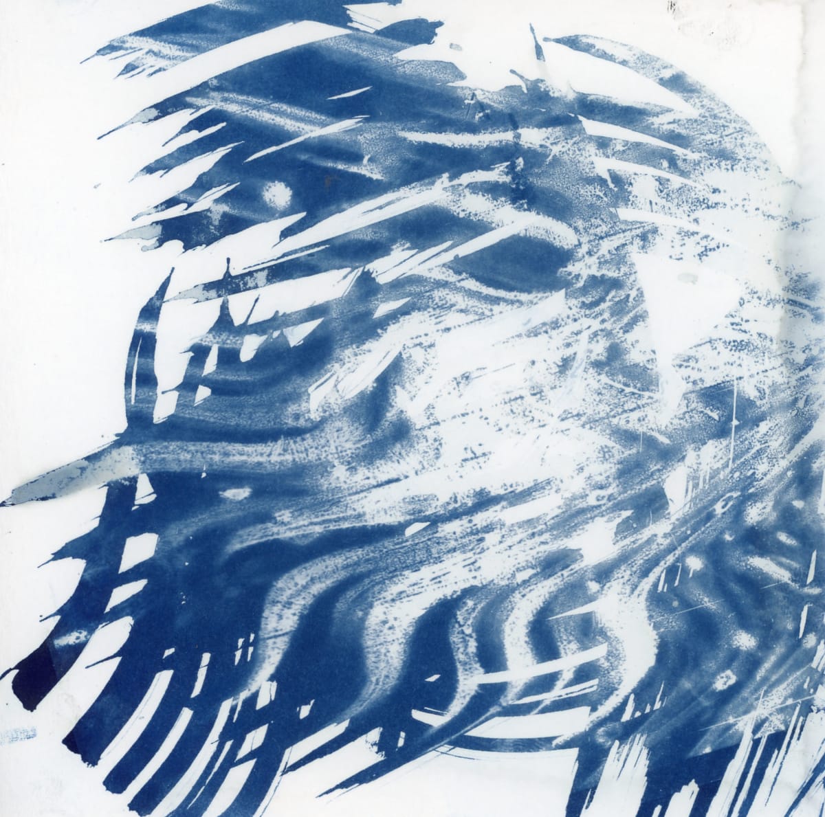 Cyanotype by Karen Johanson 