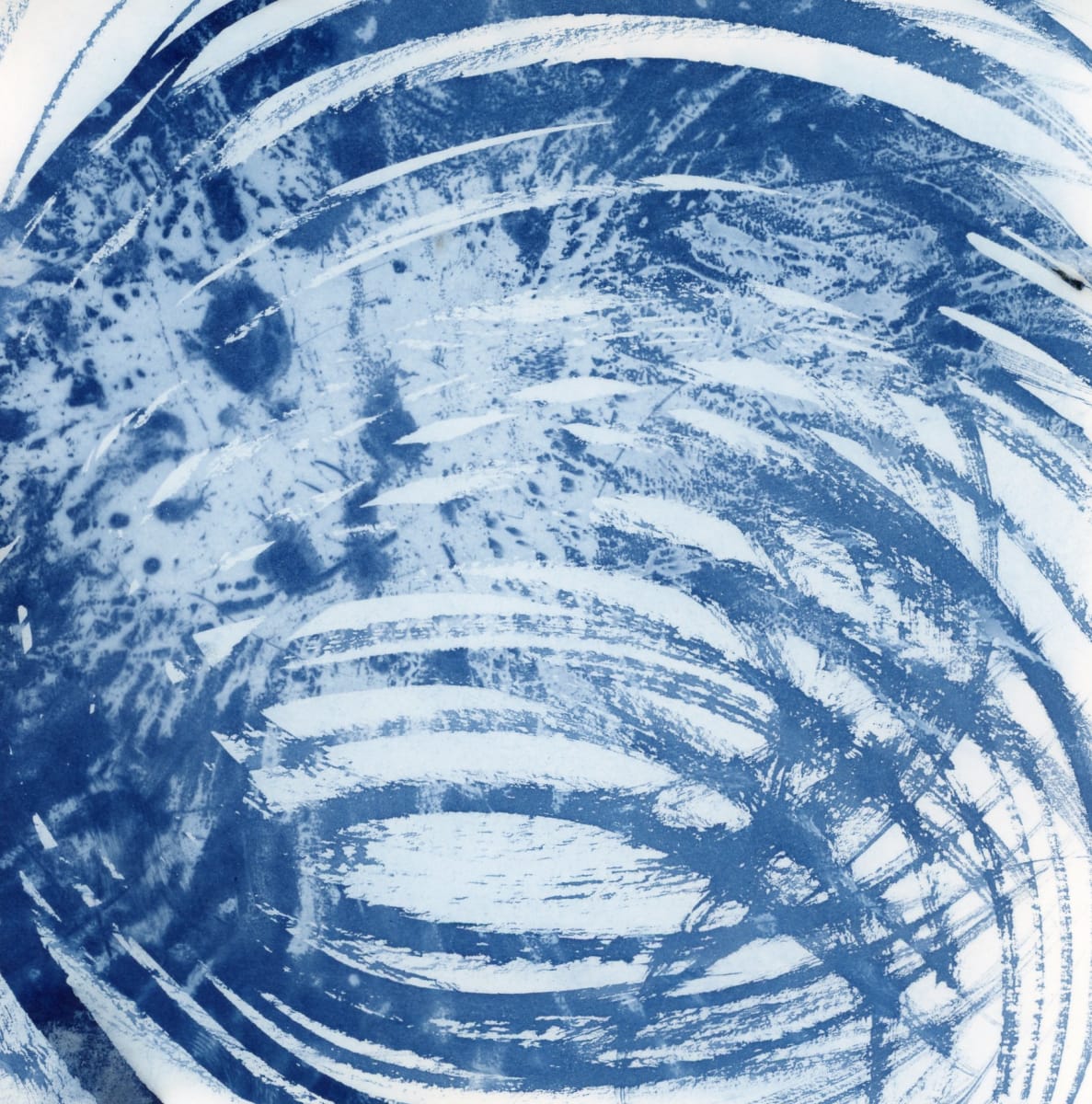 Chrysanthemum #4 by Karen Johanson 