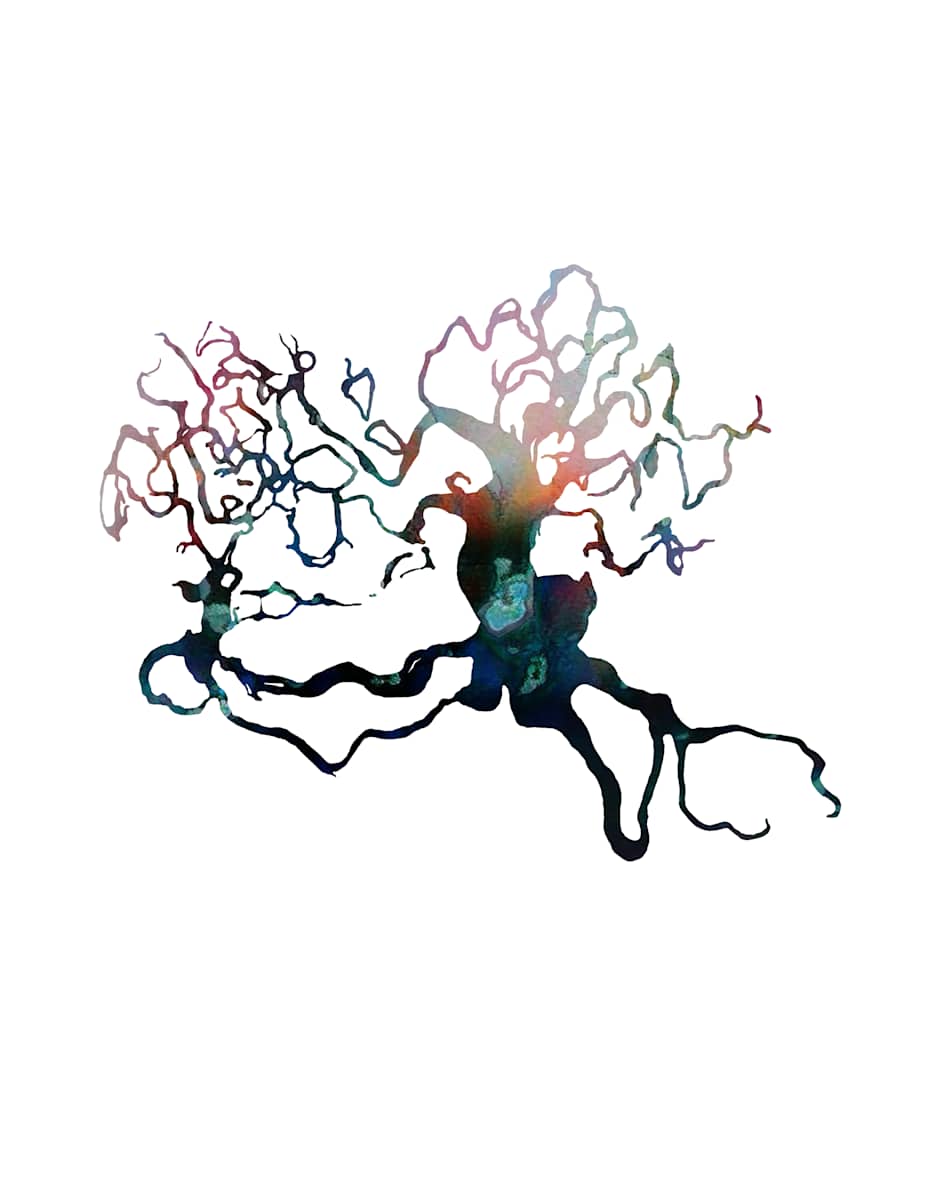 Murmurlace by Jen Palmer, Image 3.