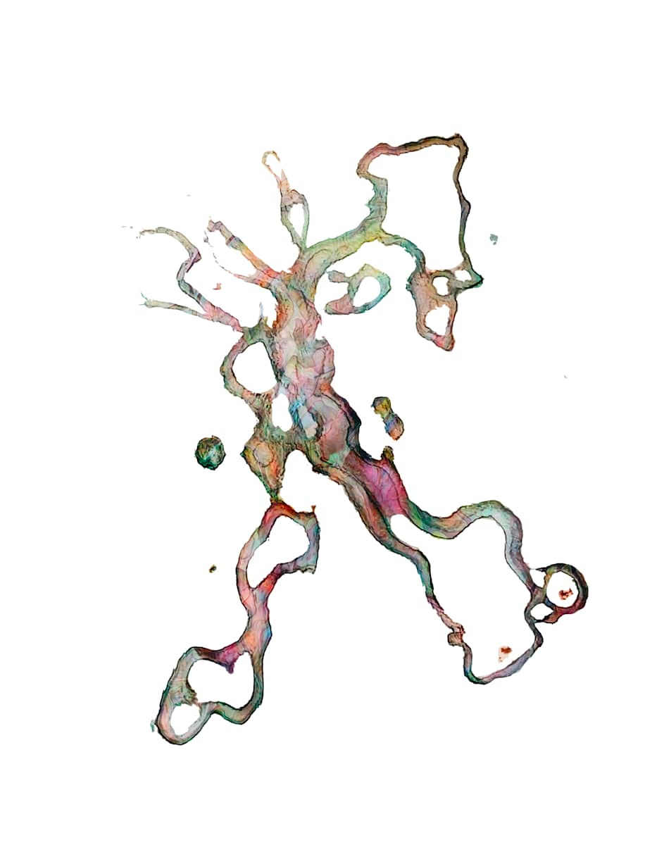 Prismroot by Jen Palmer 