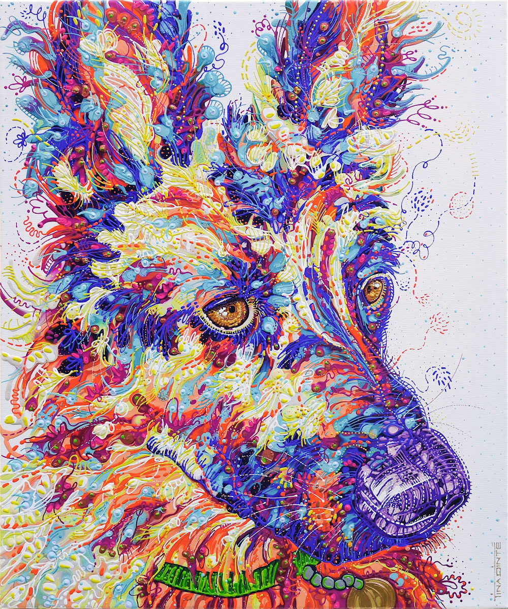Maxi, Image 1.