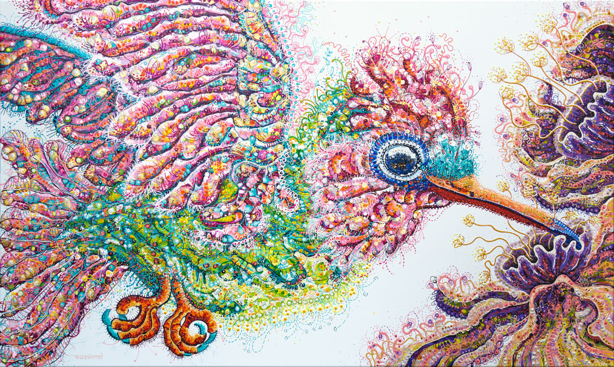 Michelle's Hummingbird, Image 1.