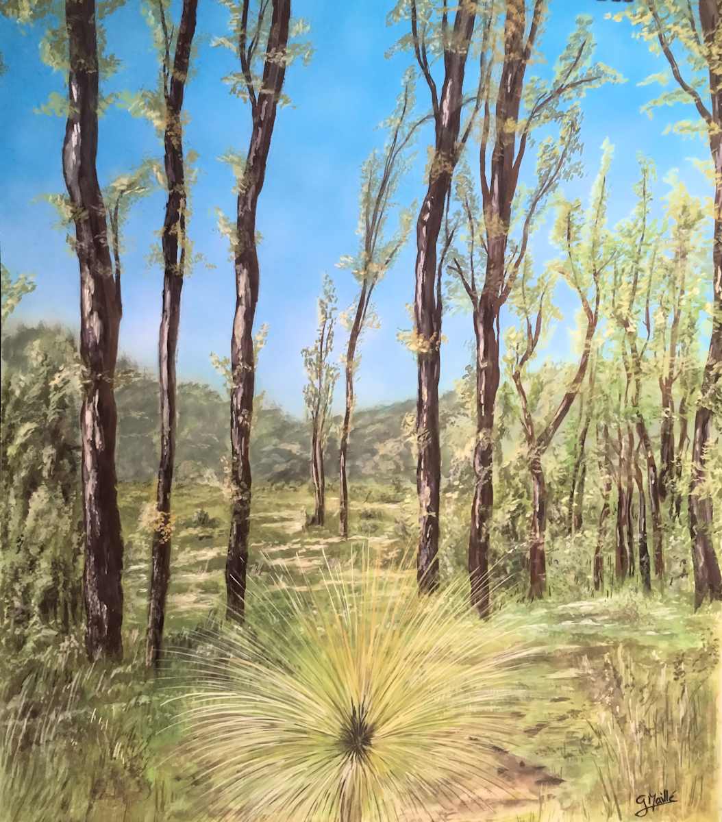 Whispers Through the Eucalyptus by Gerard, Image 1.