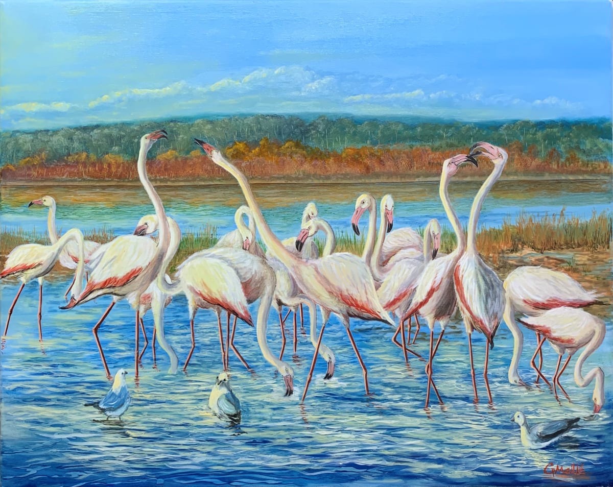 Graceful Flamingos by Gerard  Image: "Graceful Flamingos" showcases a flamboyance of flamingos gracefully standing in water amidst a natural landscape in "Camargue" in the South of France. 
