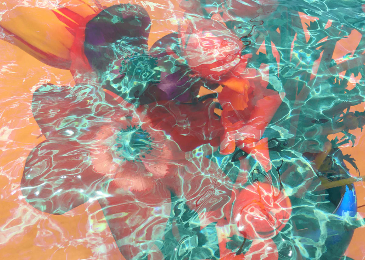 Hallucinations in Water 2 by Bonnie Levinson 