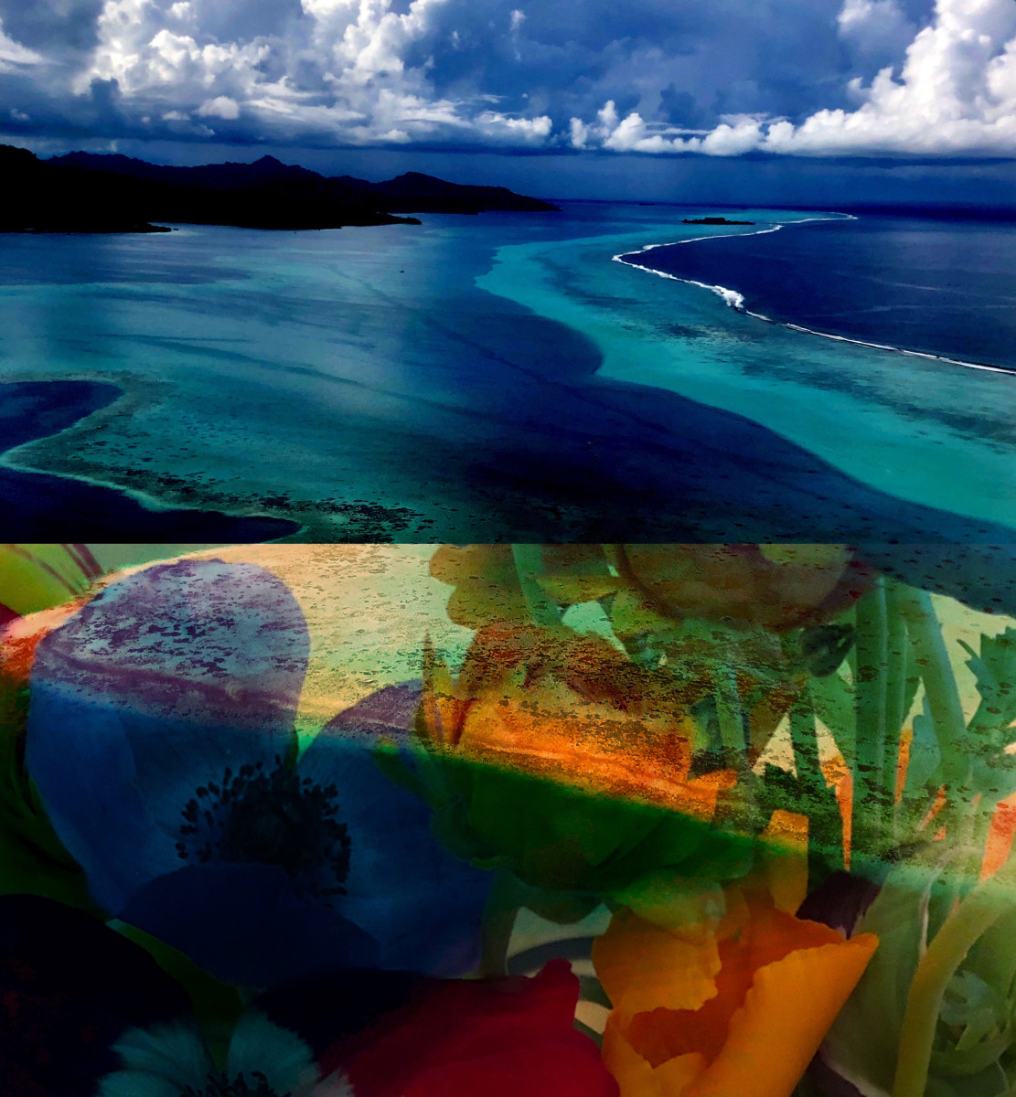 Hallucinations French Polynesia by Bonnie Levinson 