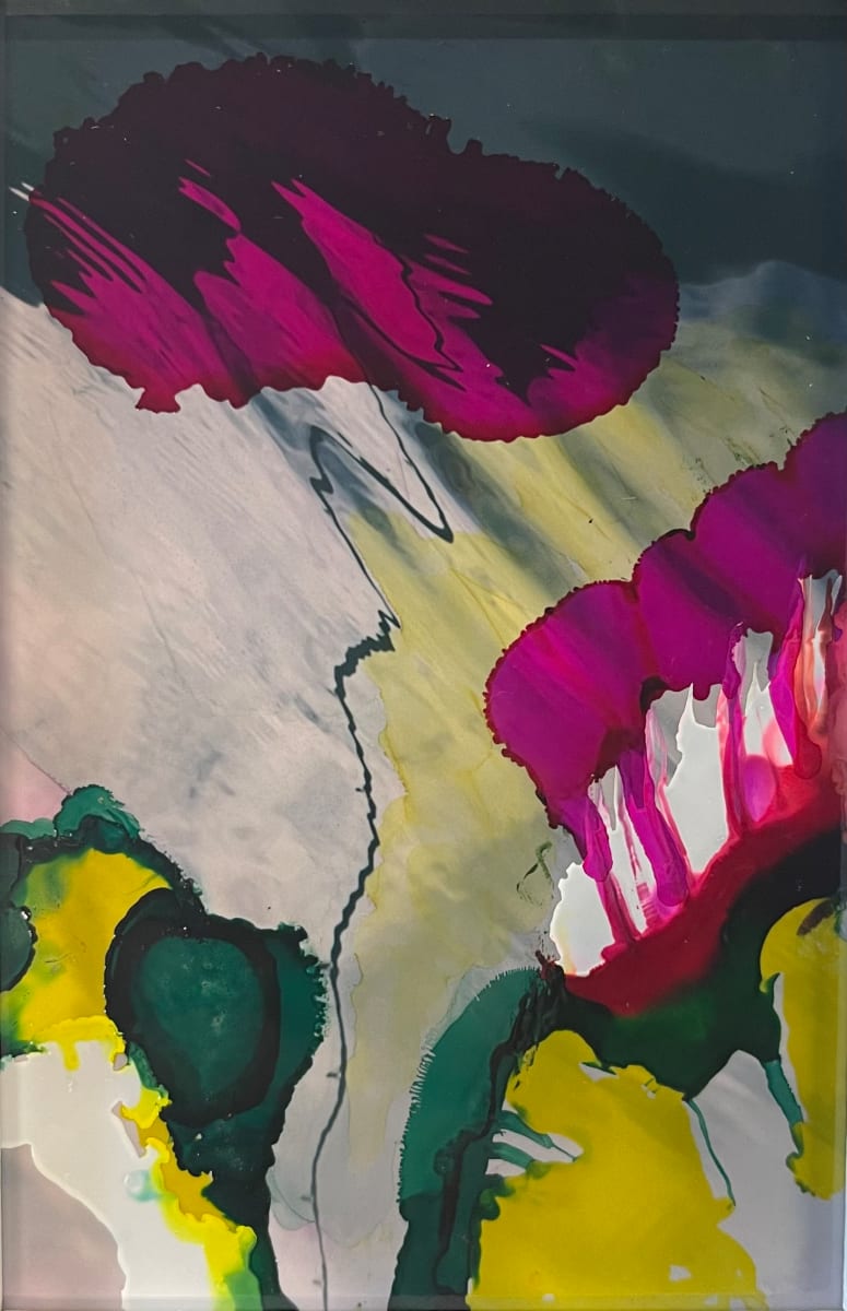 Purple Finch by Bonnie Levinson 