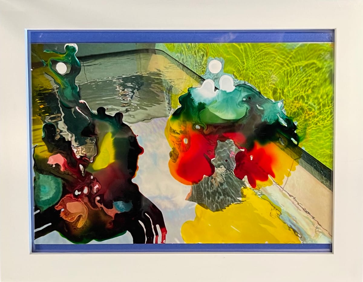 Swimming Memes ( framed) by Bonnie Levinson 