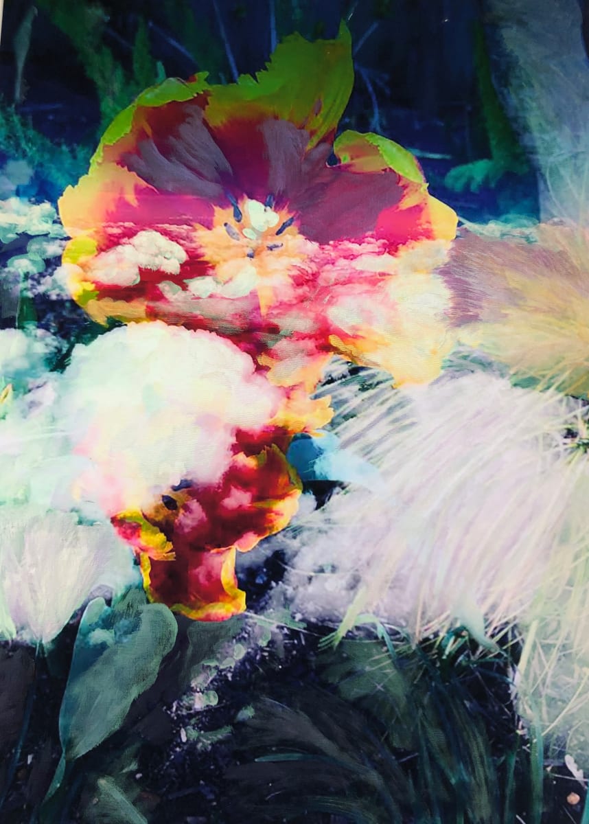 Hallucinations Alternate Reality by Bonnie Levinson, Image 1.