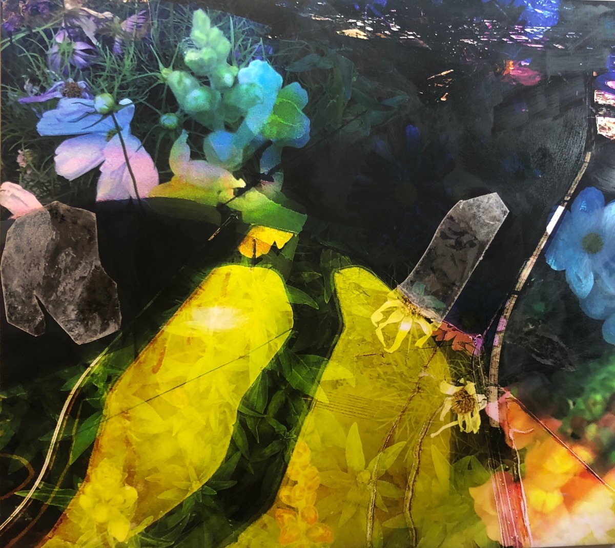 Climate Change: Don Edwards SF Bay National Wildlife Refuge in Wild Colors by Bonnie Levinson 