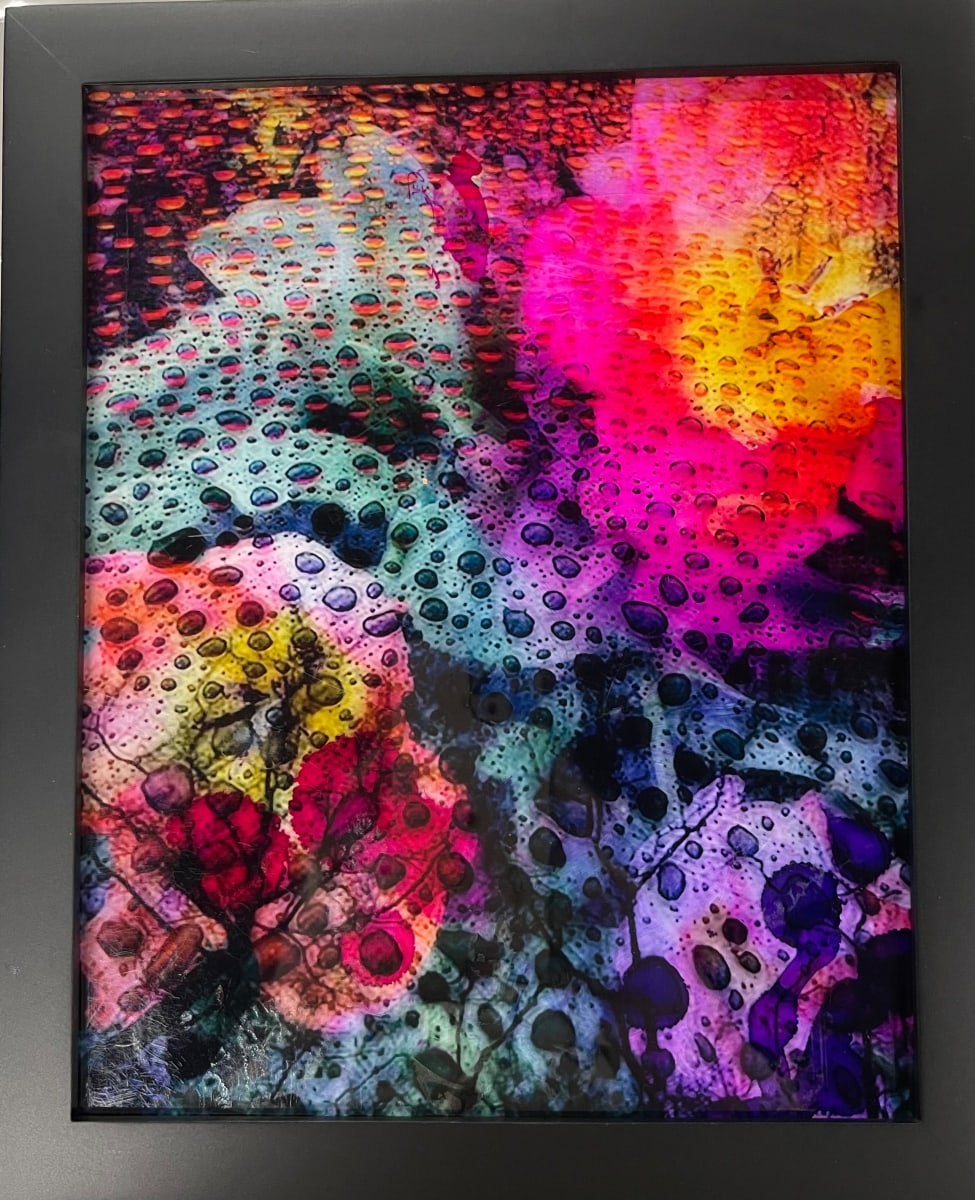 Hallucinations in focus (framed) by Bonnie Levinson 