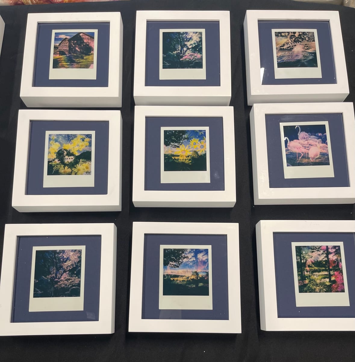 Polaroid 1-9 framed by Bonnie Levinson, Image 1.