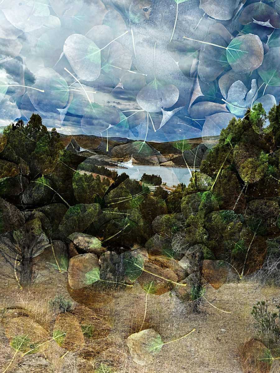 Hallucinations: Petal woods by Bonnie Levinson, Image 1.