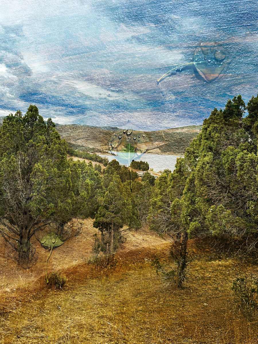Hallucinations: View From the House by Bonnie Levinson, Image 1.